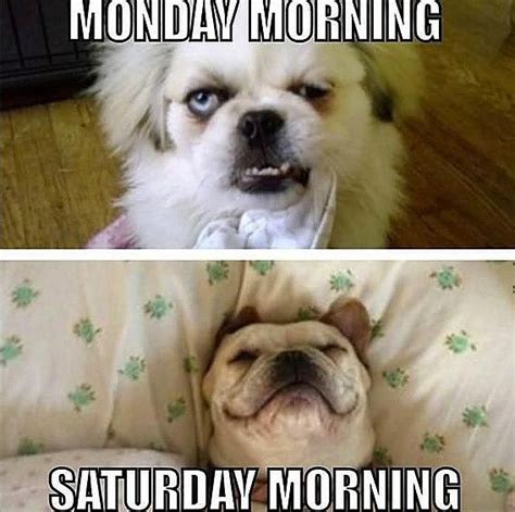 10 Funny Saturday Memes That Capture Real Feelings Of The Weekend