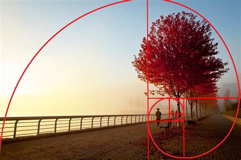 How To Use The Golden Ratio To Improve Your Photography Apogee Photo