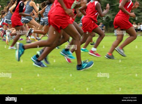 Cross Country Runners Running On Green Grass Stock Photo Alamy