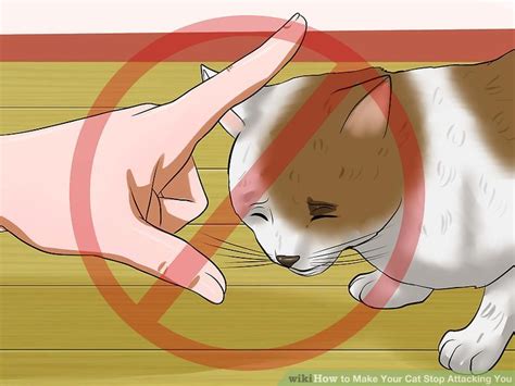 How To Make Your Cat Stop Attacking You 10 Steps
