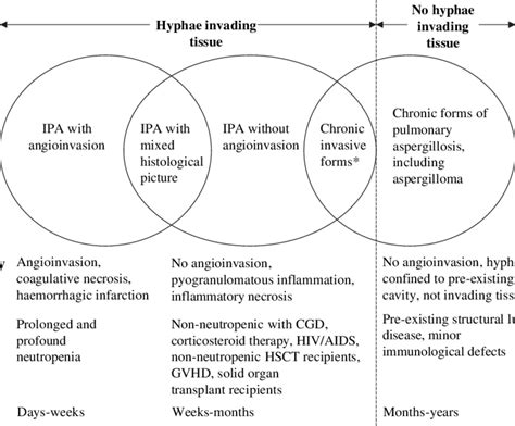 The Spectrum Of Aspergillosis Of The Lower Respiratory Tract Ipa