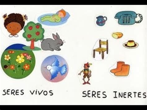 LA MATERIA INERTE Y LOS SERES VIVOS P5S1 YouTube