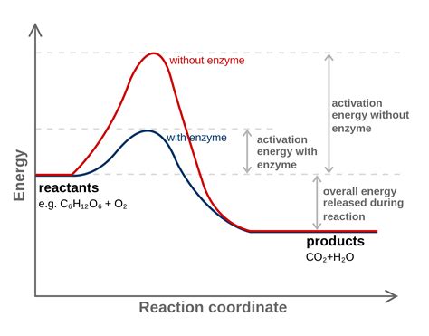 Electrochemistry Can You Derive Reaction Rates From The Potential