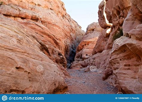 Slot Canyon In Valley Of Fire Nevada Stock Image Image Of Formation