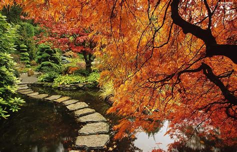 Maple Garden Pond For Desktop Wallpapers 1600x1024
