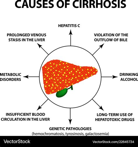 Liver Cirrhosis Reasons