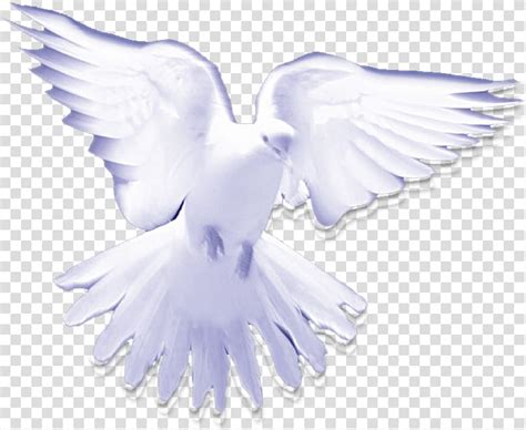 Dove Holy Spirit Christianity Symbol The Quotes