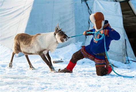 All About The Sami People Indigenous Norwegians