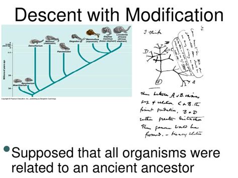 Published online by cambridge university. PPT - Descent With Modification: A Darwinian View of Life ...