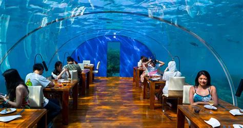 Top 5 Underwater Restaurants In Maldives For Romantic Trip Honeymoonbug