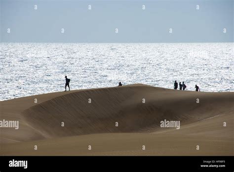 Sand Dunes At Maspalomas At Gran Canaria In Spain Stock Photo Alamy