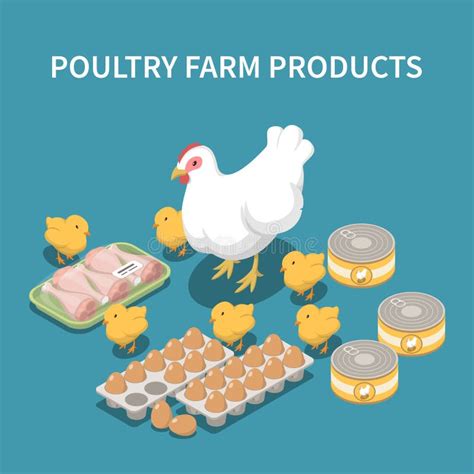 Set Of Poultry Farm Logo Emblem Chicken Turkey Goose Duck Stock