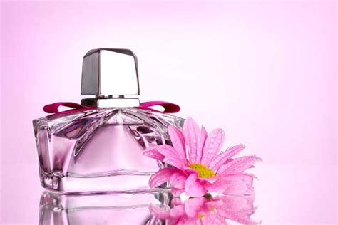 what your favorite perfume says about you blufashion