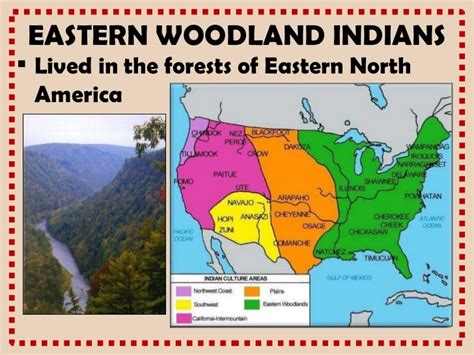 Woodland Indians A Listly List