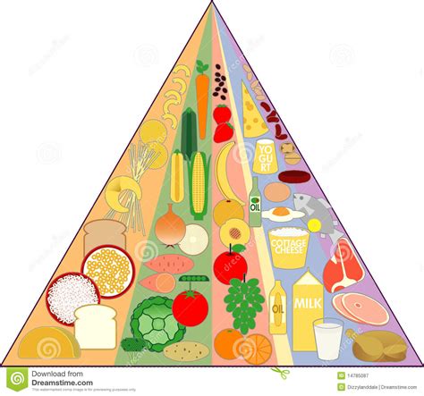 New Food Pyramid Chart Stock Vector Illustration Of Pyramid 14785087
