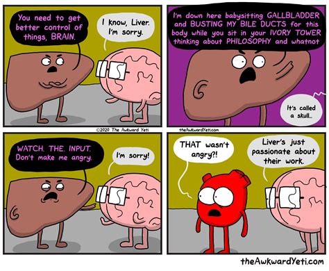 Gallbladder Cartoon Post With 10317 Votes And 531468 Views Goimages I