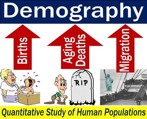 demography definition and meaning market business news