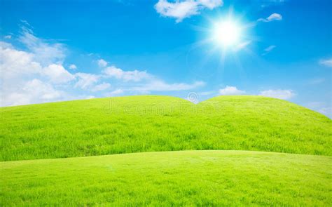 Blue Sky And White Clouds And Grass Stock Photo Image Of