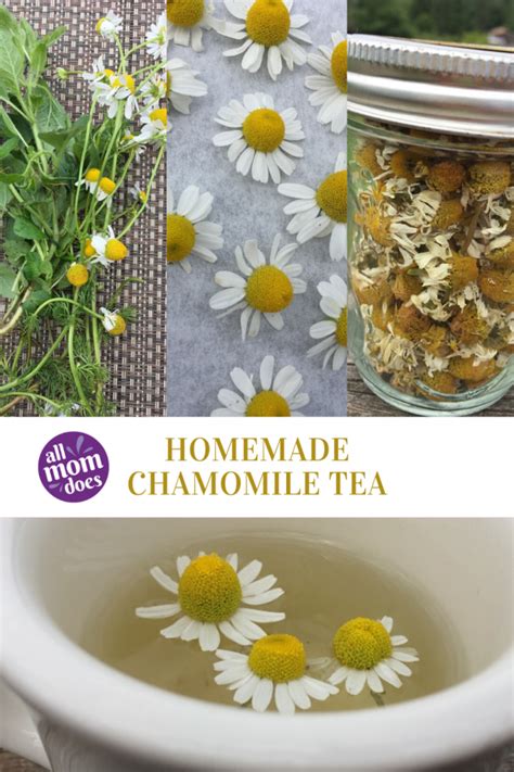 Homemade Chamomile Tea Chamomile Tea Chamomile Growing Chamomile