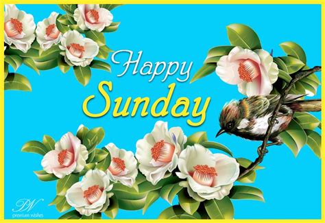 Happy Sunday Morning My Dear | Sunday wishes, Happy sunday images, Sunday wishes images