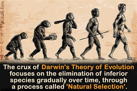 Charles Darwin Timeline 1 Timetoast Timelines
