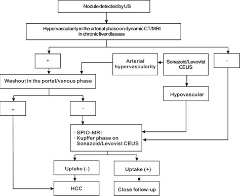 Diagnostic Algorithm For Hepatocellular Carcinoma HCC Of Asian