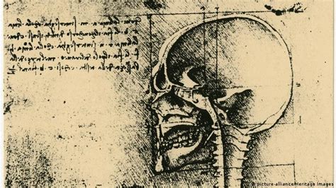 Leonardo De Vinci El Renacimiento De La Anatomía Todos Los