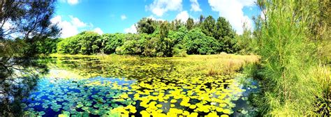 Emerald Lakes Wetlands Panorama Gold Coast Qld Aus Flickr