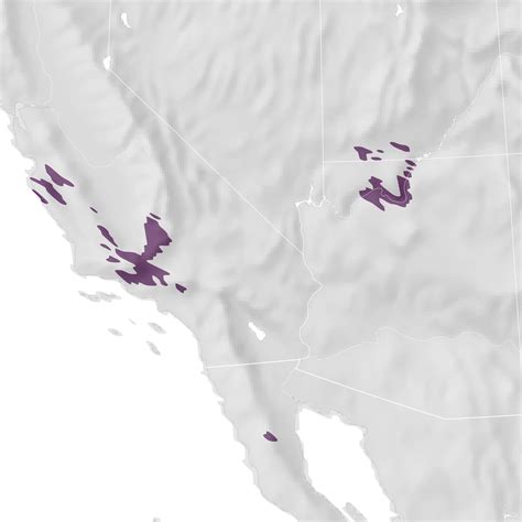 California Condor Range Map Ebird Status And Trends