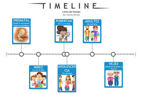 Linea De Tiempo Etapas Del Desarrollo Humano Timeline Timetoast Gambaran
