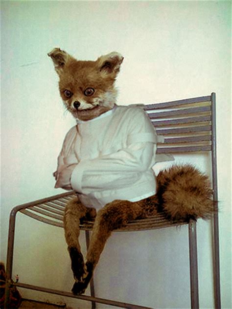 Creepy Taxidermy Fox X Post From Rpics Photoshopbattles