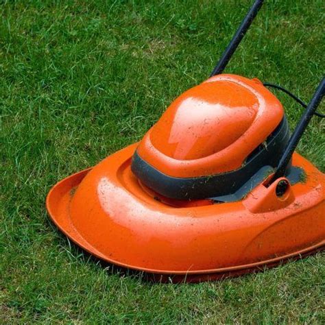 Viele gartenbesitzer wünschen sich zwar eine üppige pflanzenpracht, möchten aber möglichst wenig zeit in die pflege. 10 pflegeleichte Pflanzen für den Garten | Pflegeleichte ...