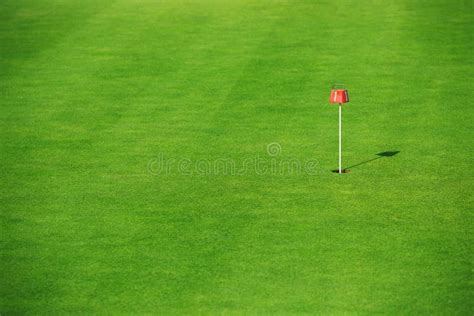 Green Grass In Golf Course Stock Image Image Of Equipment 61836403