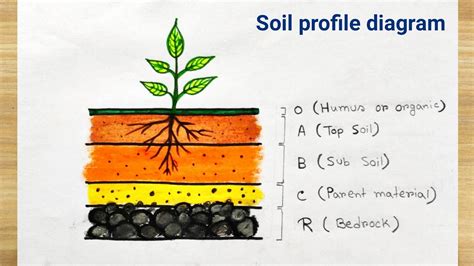 Simple Soil Profile Diagram
