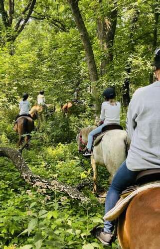 Guided Horseback Trail Rides Now Available At Forest Trails Stables