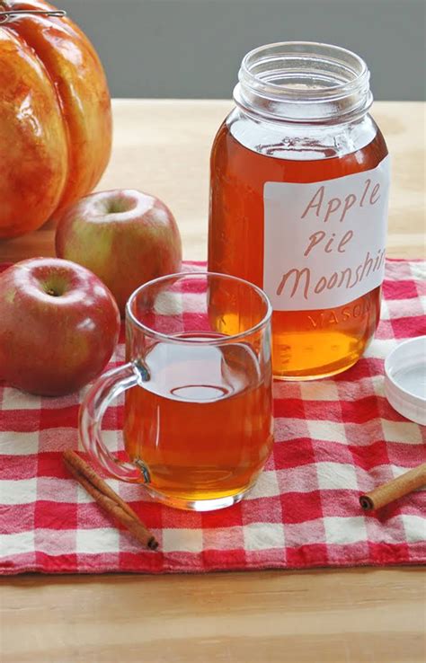 Apple pie shot #5 6. Apple Pie Moonshine Recipe With Everclear 151 And Captain ...