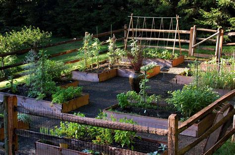 Welcome to garden ideas online! 20+ Creative and Inspiring Raised Bed Vegetable Garden Ideas