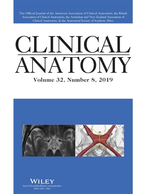 Mips Research Featured On Cover Of Clinical Anatomy Molecular Imaging