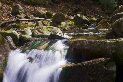 Mountain Stream In The Spring Stock Image Everypixel