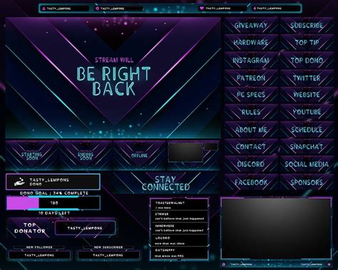 Blue And Purple Neon Twitch Overlay Package Webcam Screens Panels