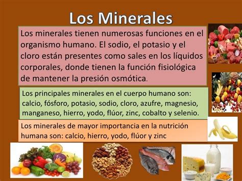 Los Minerales