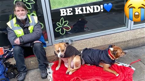 Helping Homeless Dogs With A Bit Of Kindness Youtube
