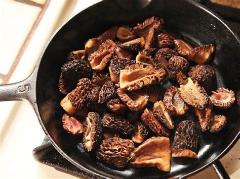 Learn how to cook lentils perfectly every time! Hunting Morels in Montana | Montana Natural History Center