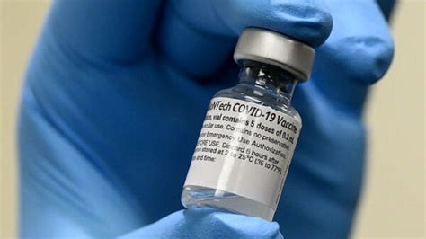 Vaccini a mrna · vaccini a vettore . Vaccino anti-Covid, nelle prossime settimane altre 38 mila ...