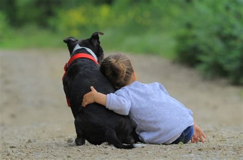 10 Reasons To Hug Your Dog