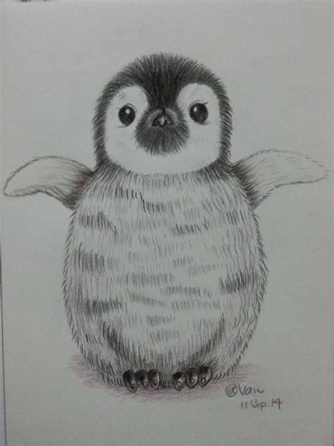 85 Simple And Easy Pencil Drawings Of Animals Buzz Hippy Pencil