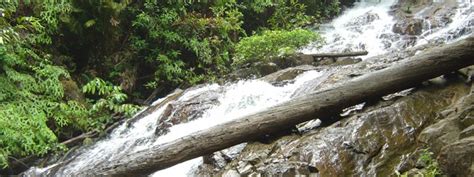 Pelepah Waterfalls Share My Hikes Hikers For Life