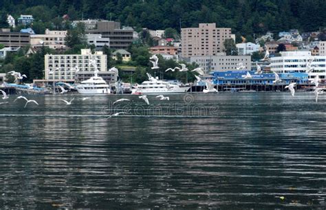 Alaska Beautiful Juneau Across The Bay Stock Image Image Of Flying