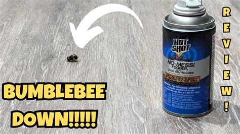 Hot Shot No Mess Fogger With Odor Neutralizer Review Youtube