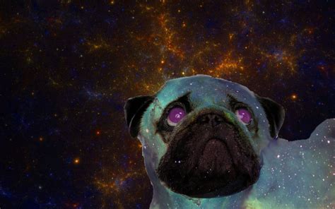 Jodys Fantastic Blog Of Art And Such Space Pugs
